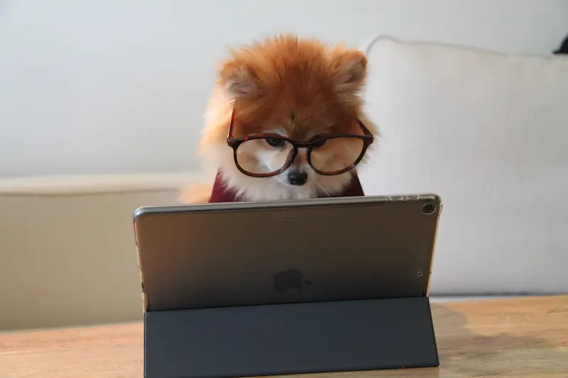 En Mac laptop